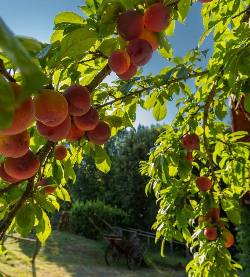 Agriturismo Alle Rose فولتيرا المظهر الخارجي الصورة